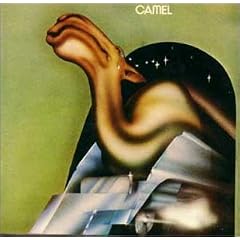 Camel