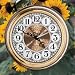 The Egyptian Hyro 1 Clock Skin For PalmaryClock(tm) & PalmaryClock Screen Saver(tm)