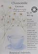 Chamomile German Heirloom Certified Organic Seeds