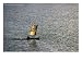 Sailing Pirogue in Mozambique Channel, Antsiranana, Madagascar Art Styles Photographic Poster Print by Karl Lehmann, 16x12