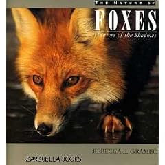 The nature of foxes: Hunters of the shadows