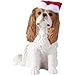 Sandicast Blenheim Cavalier King Charles Spaniel with Santa Hat Christmas Ornament