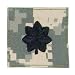 ACU Digital Camouflage Lieutenant Colonel Insignia