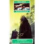 Birthright (New Doctor Who Adventures)