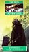 Birthright (New Doctor Who Adventures)