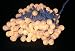Wedding Christmas Lights 4 sets 100 Pearl White~White Cord