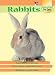 Rabbits (Practical Pet Care)