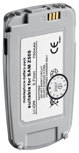 Wentronic Ersatzakku f&uuml;r Samsung Z500 (700 mAh) silber Preisvergleich