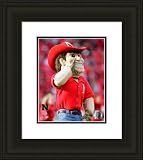 Herbie Husker Nebraska Cornhuskers UNFRAMED Photograph