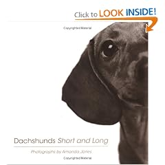 Dachshunds Short and Long