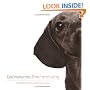 Dachshunds Short and Long