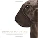   - Dachshunds Short and Long