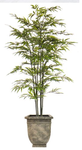 7FT BLACK BAMBOO TREE/2PC