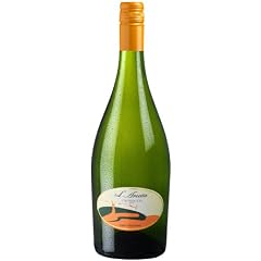 Cantina Colli del Soligo - L'ARCATA Prosecco Frizzante 0.75l