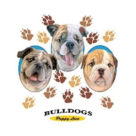 Bulldog-Puppy Love Adult Sweatshirt