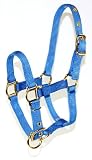 Hamilton 3/4 Inch Nylon Adjustable Miniature Foal Halter, Berry Blue