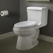 American Standard Titan Pro One-Piece Toilet, Seat Not Included