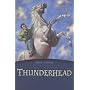 Thunderhead (Egmont Classics) by Mary O'Hara