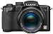 Panasonic Lumix DMC-FZ5K 5MP Digital Camera with 12x Image Stabilized Optical Zoom (Black)