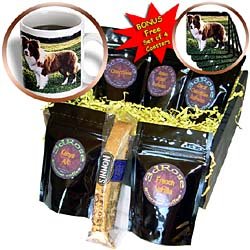 Dogs Border Collie - Border Collie Tan and White - Coffee Gift Baskets - Coffee Gift... by Decaf Espresso Roast