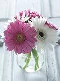 Mini Gerbera Bouquet, Eco-Friendly - Certified Organic, Assorted Daisy Bouquet