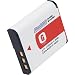 Power 2000 ACD300 Sony NPFG1 3.6v 1100mah Rechargeable Battery