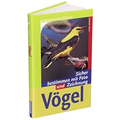 Vögel. Sicher bestimmen mit Foto und Zeichnung (Kosmos-Naturführer) (Gebundene Ausgabe)