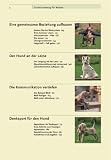 Grunderziehung für Welpen: Fichtlmeiers Hundeschule