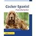 Cocker Spaniel