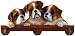   - Boxer Calendar Caddy 2008