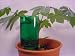 Drip-it Pro Automatic Plant Waterer - Irigation for the Busy Gardener