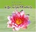 The Beauty Temple: Qi Gong