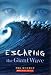 Search : Escaping the Giant Wave