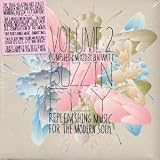 Buzzin' Fly, Vol. 2 by Ben Watt