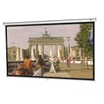 SAVE $42.08 - 70INX70IN Model B Manual Screen Wall/ceiling Matte White $57.92