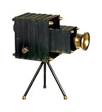 Sterling Home Portrait Camera Decorative Accessory, 12-Inch Tall