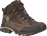 Timberland Men's Fastpack Paceline Mid Waterproof