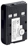 Tecxus 36408-GB Replacement Battery for Panasonic VW-VBS10E/20E/ P-V211/V212