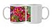 Photo Mugs of Painted tongue from Danita Delimont