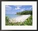 Hayman Island Resort, Queensland, Australia Framed Art Poster Print by Ken Gillham, 2...