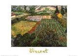 Mohnblumenfeld von Vincent van Gogh, 72x51