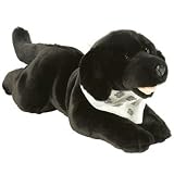 Harley-Davidson Biker Club Black Lab
