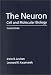 The Neuron: Cell and Molecular Biology