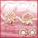 Jewelry : 14K Diamond Pinwheel Earrings Jackets