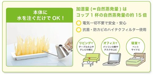 Cover image : ミクニ ミスティーガーデン U600-01