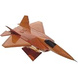 F-22 Raptor
