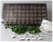 Medicinal Herb Garden Starter Kit - Everything You Need to Start Growing Fresh Medicine Herbs - Seeds: Burdock, Echinacea, Astralagus, St. Johnswort, German Chamomile, Scullcap, Thistle, Feverfew, Valerian, Cayenne Pepper, Lemon Balm, Yarrow