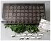 Medicinal Herb Garden Starter Kit- Start Growing Fresh Medicine Herbs - Seeds: Burdock, Echinacea, Astralagus, More.
