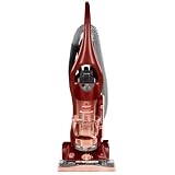 BISSELL 3910 Momentum Bagless Upright Vacuum Cleaner