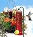 Hummingbird Basket Planter Feeder